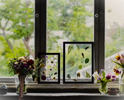 Framed leaves and flowers on window ledge.