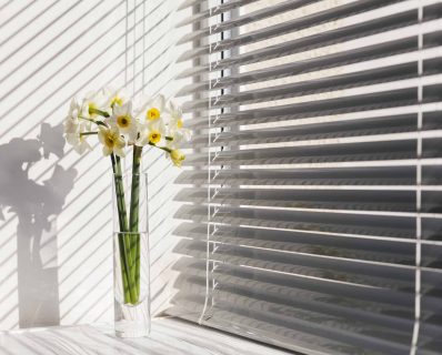 How to Choose Small Window Blinds
