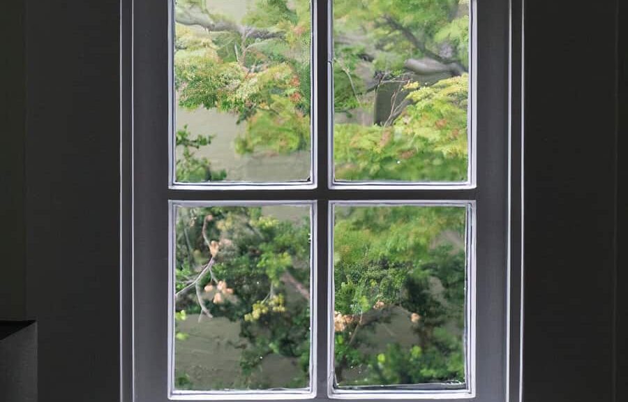 Window view with lush green trees