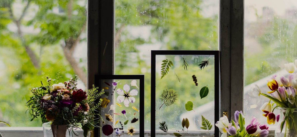 Framed leaves and flowers on window ledge.